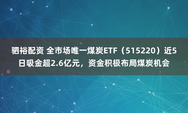 驷裕配资 全市场唯一煤炭ETF（515220）近5日吸金超2.6亿元，资金积极布局煤炭机会