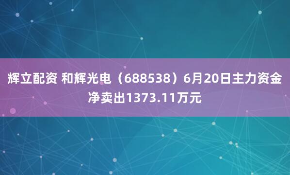 辉立配资 和辉光电（688538）6月20日主力资金净卖出1373.11万元