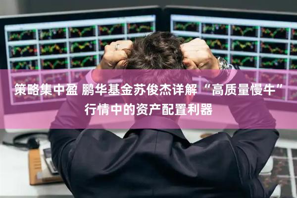 策略集中盈 鹏华基金苏俊杰详解 “高质量慢牛”行情中的资产配置利器